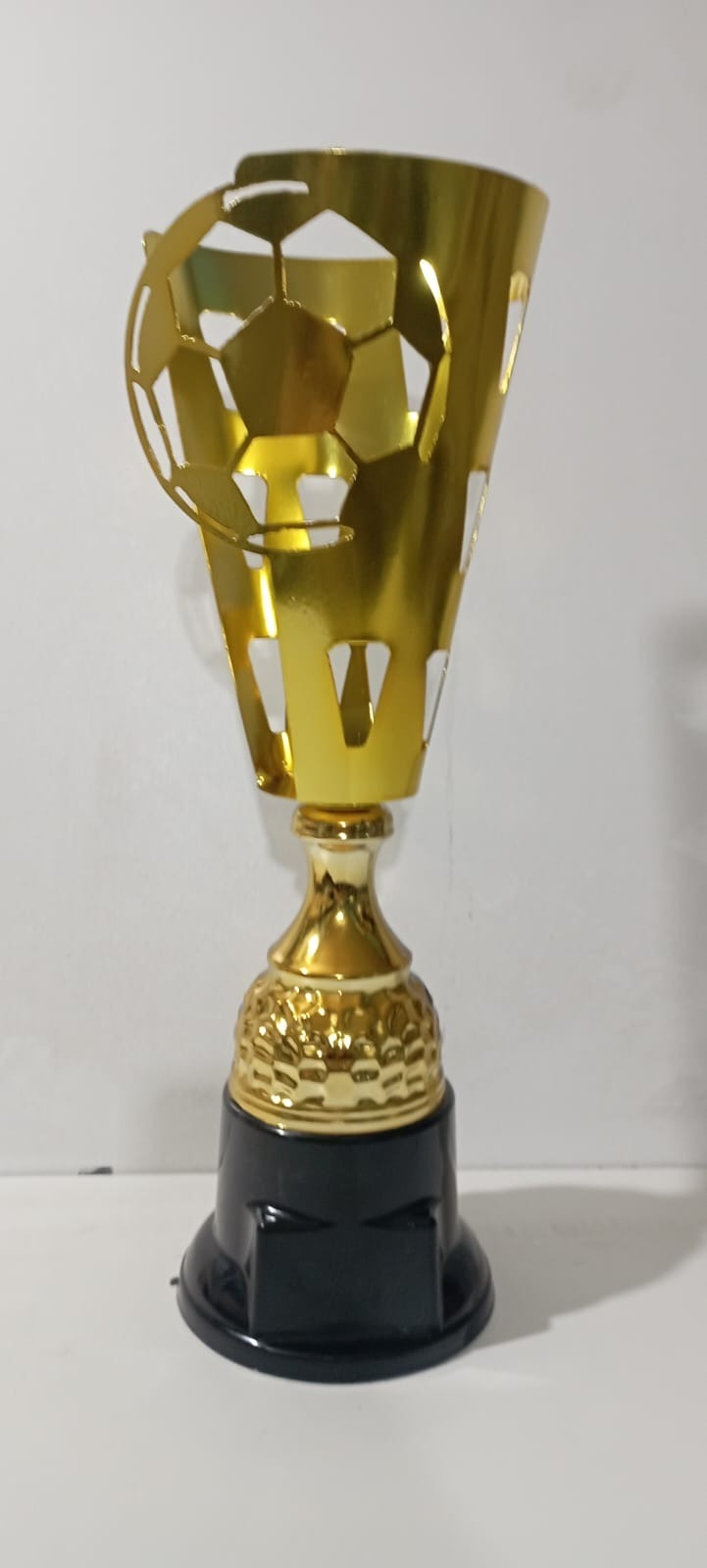 trofeos personalizados en Concepción listos para entregar”